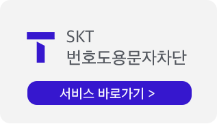 SKT ȣ빮  ٷΰ