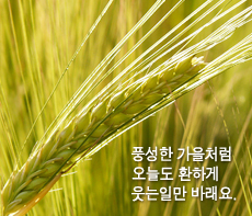 �����ǽ� - �����λ� MMS �̸�Ƽ���Դϴ�