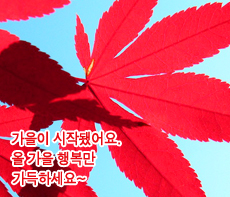 �����ǽ� - �����λ� MMS �̸�Ƽ���Դϴ�