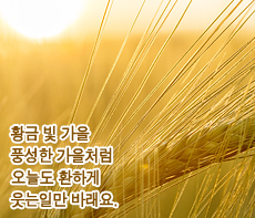 �����ǽ� - �����λ� MMS �̸�Ƽ���Դϴ�