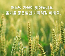 �����ǽ� - �����λ� MMS �̸�Ƽ���Դϴ�