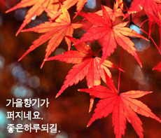 �����ǽ� - �����λ� MMS �̸�Ƽ���Դϴ�
