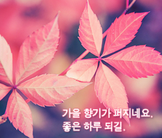 �����ǽ� - �����λ� MMS �̸�Ƽ���Դϴ�