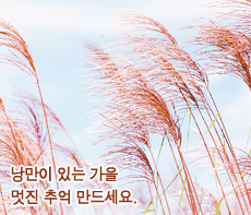 �����ǽ� - �����λ� MMS �̸�Ƽ���Դϴ�