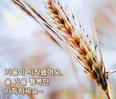 �����ǽ� - �����λ� MMS �̸�Ƽ���Դϴ�