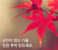 �����ǽ� - �����λ� MMS �̸�Ƽ���Դϴ�