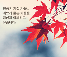 �����ǽ� - �����λ� MMS �̸�Ƽ���Դϴ�