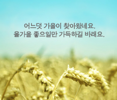 �����ǽ� - �����λ� MMS �̸�Ƽ���Դϴ�
